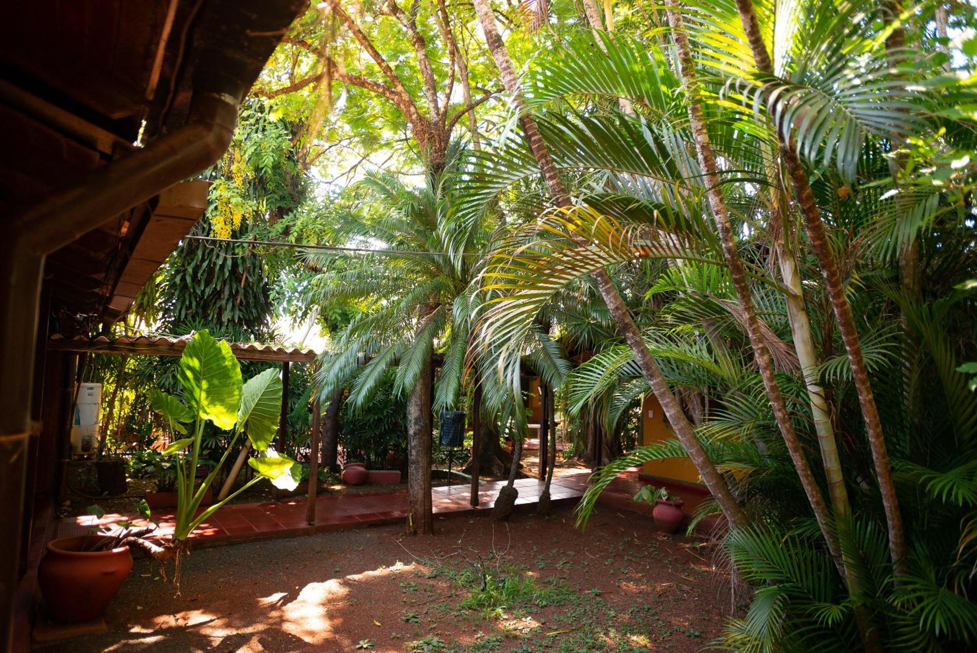 Hosteria Los Helechos Puerto Iguazu Exterior photo
